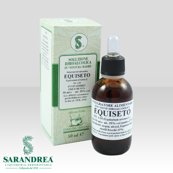 Equiseto