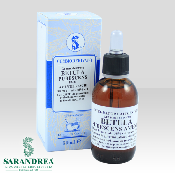 Betula Pubescens Amenti