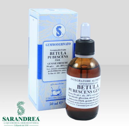 Betulla Pubescente Gemme