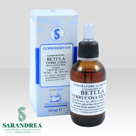 Betulla Verrucosa Gemme