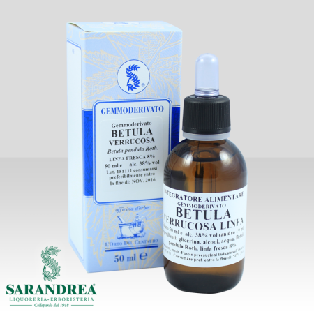 Betulla Verrucosa Gemme