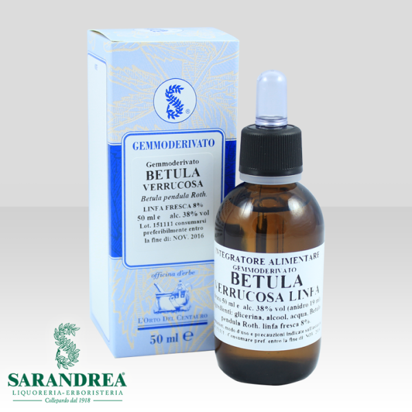 Betula Verrucosa Linfa