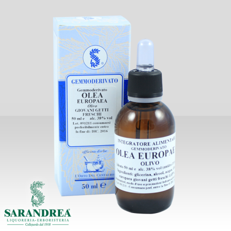 Olea Europaea