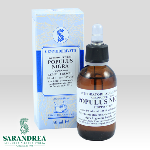 Populus Nigra