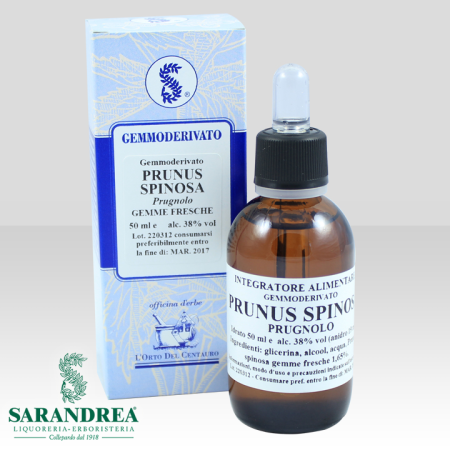 Prunus Spinosa