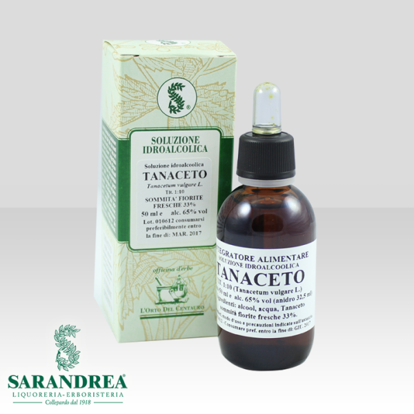 Tanaceto