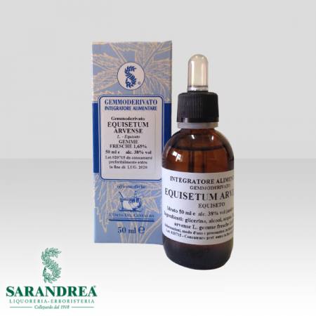 Equisetum Arvense