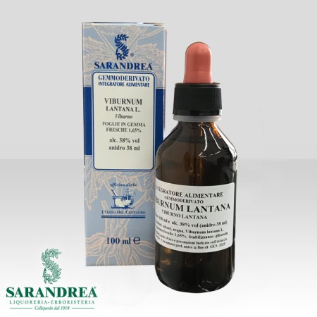 gemmoderivati - viburnum lantana - sarandrea