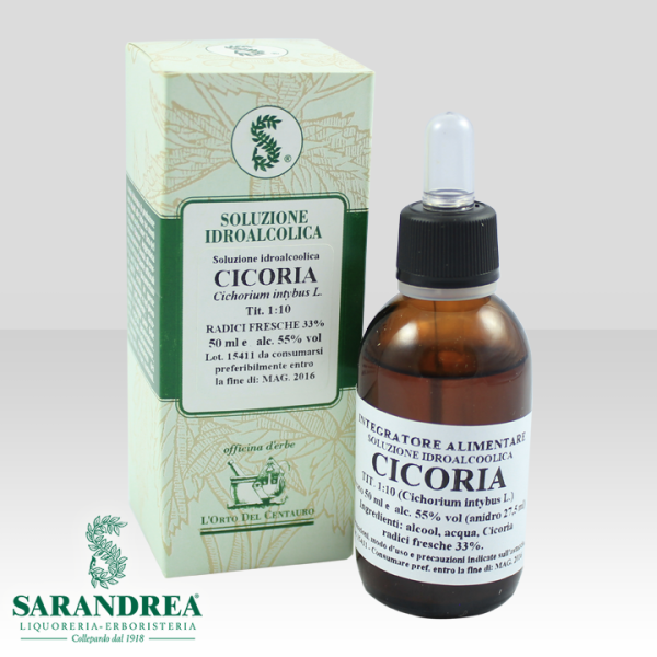 Cicoria