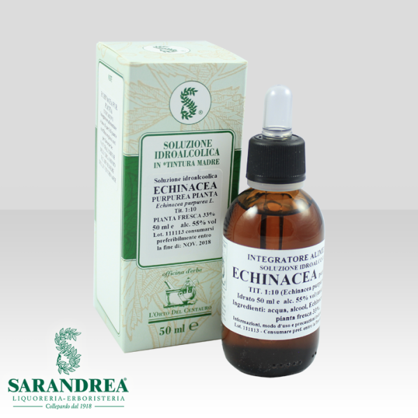 Echinacea Purpurea Pianta