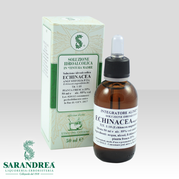 Echinacea Ang. Pianta